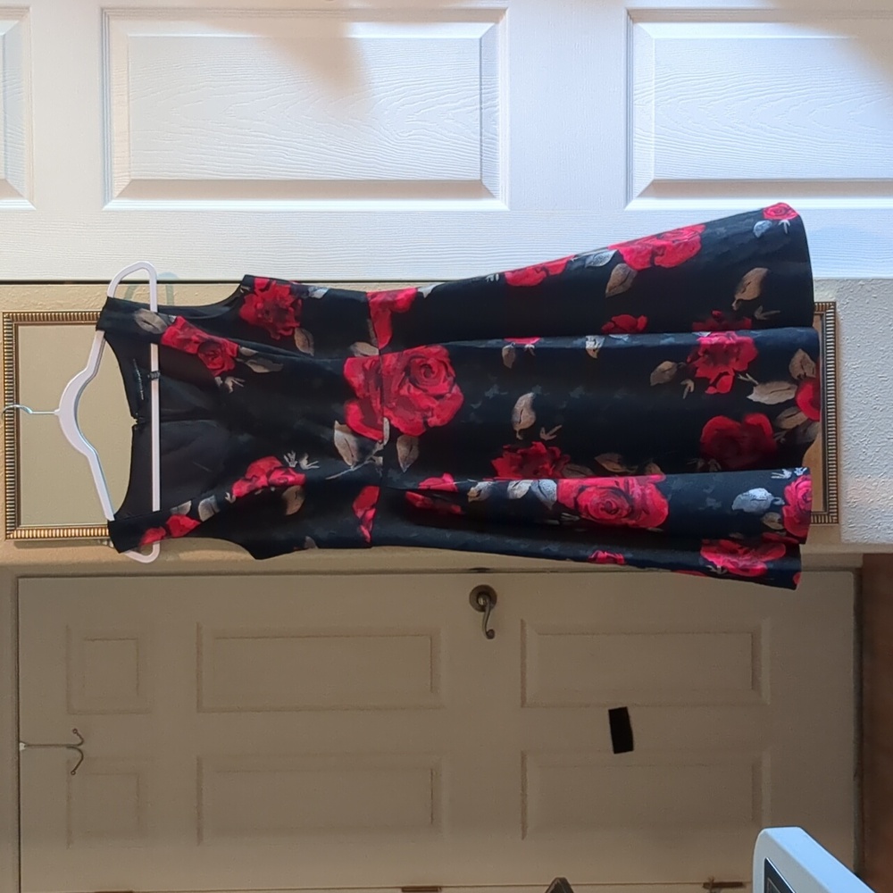 White House Black Market size 10 roses dress